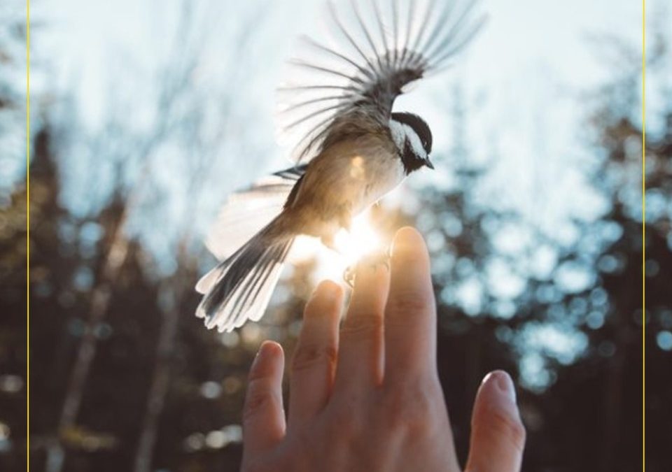 The wisdom of living in the moment