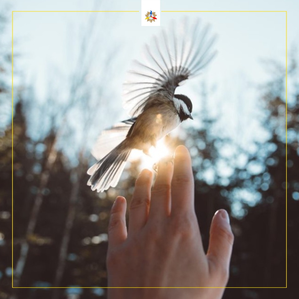 The wisdom of living in the moment