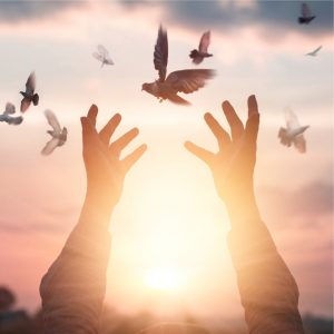 Three fundamental aspects of self-knowledge