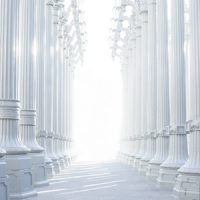 300 300