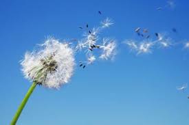El elemento aire