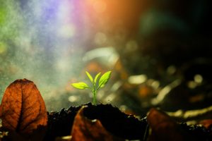 La Magie Élémentaire