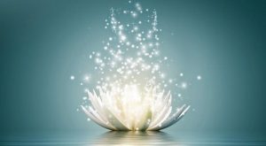  Fleur avec des lumières étincelantes