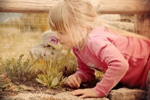 La Gratitude consciente