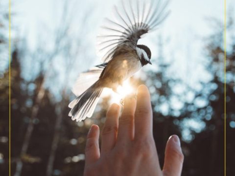 La sagesse du vécu de l’instant présent