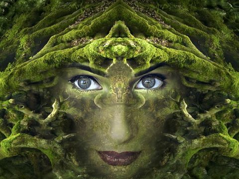 A divinidade na natureza